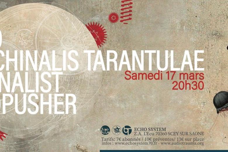 NÄO, MACHINALIS TARANTULAE, ATONALIST et EGOPUSHER en Bourgogne-Franche-Comté