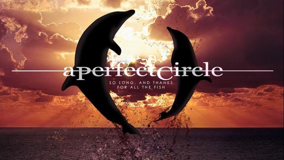 A PERFECT CIRCLE vous remercie pour le poisson