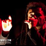 Collapse @ Trabendo - Paris (2010-05-31)