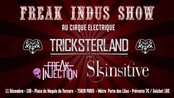 TRICKSTERLAND, SKINSITIVE et FREAK INJECTION à Paris