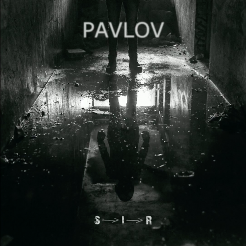 Pavlov - S->I->R