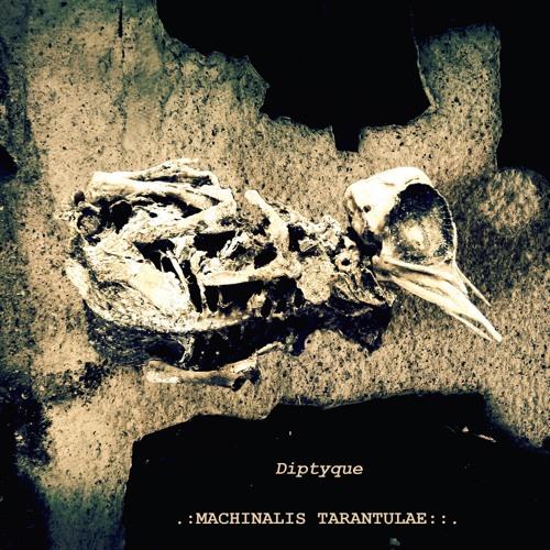 Machinalis Tarantulae - Diptyque