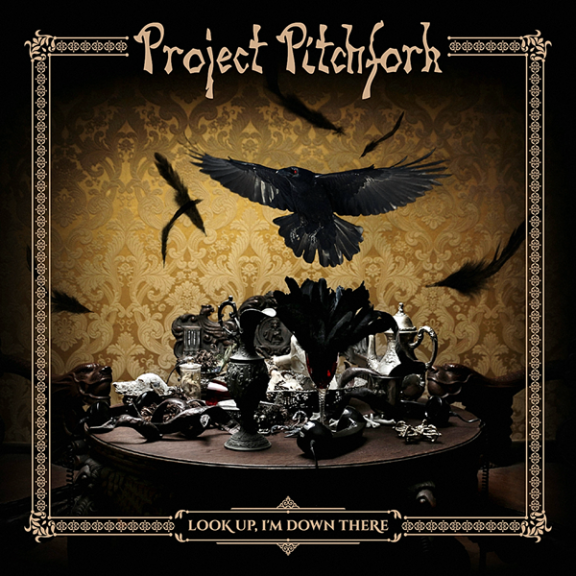 Project Pitchfork - Look Up, I'm Down There