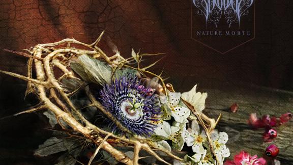 Pénitence Onirique - Nature Morte