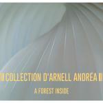 Collection d'Arnell-Andréa - A Forest Inside