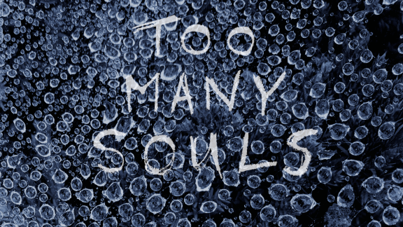 Avi C. Engel - Too Many Souls