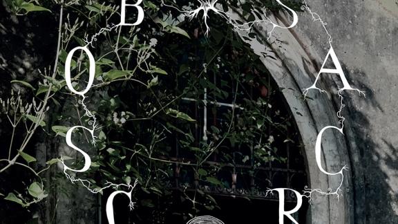 Bosco Sacro - Live at Chiesa Armena
