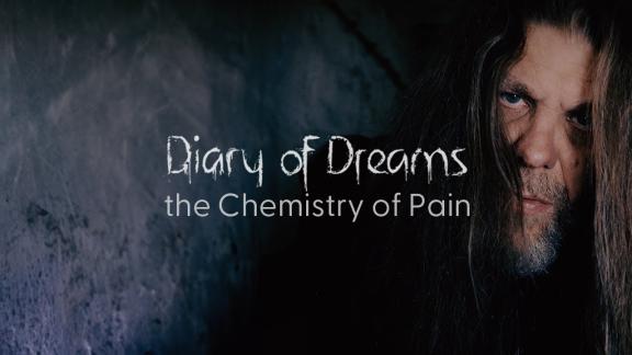 DIARY OF DREAMS nous invite à la fin des rêves avec un nouveau clip