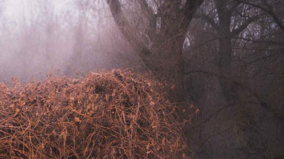 The Devil's Trade - Nincs Szennyezetlen Szép