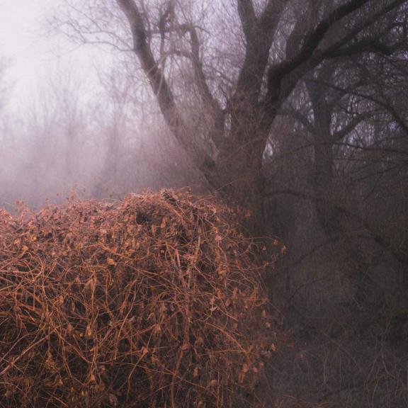 The Devil's Trade - Nincs Szennyezetlen Szép