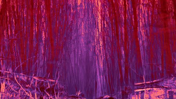 Découvrez en avant-première le nouvel album de HØRD 