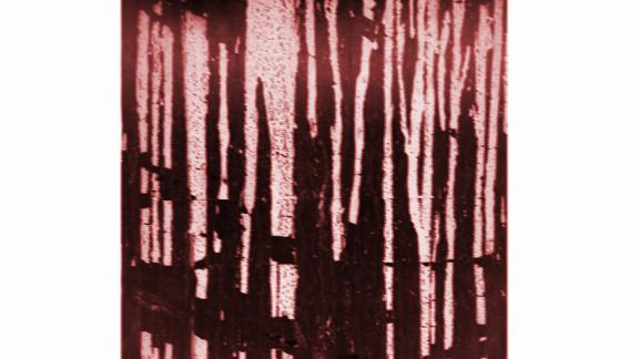 ANA IESU - LA CHAIR ET L'IDEAL