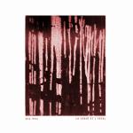 ANA IESU - LA CHAIR ET L'IDEAL