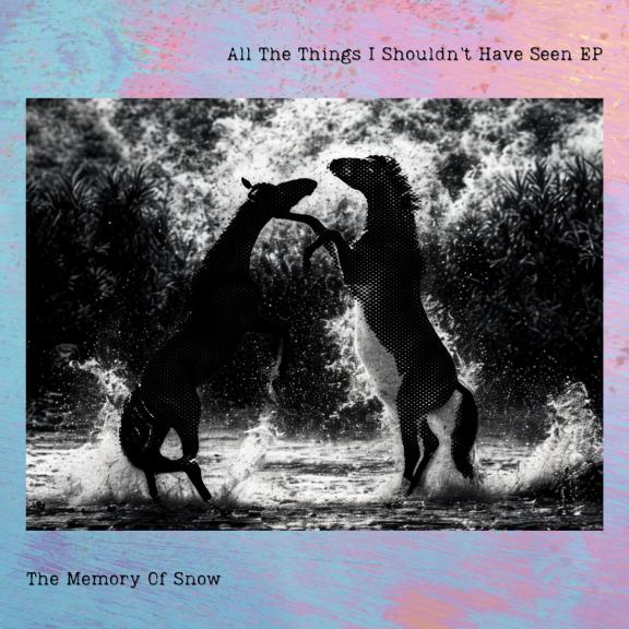 All the Things I Shouldn't Have Seen