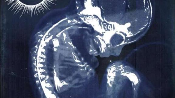 SUN DONT SHINE date son premier album avec un nouveau titre