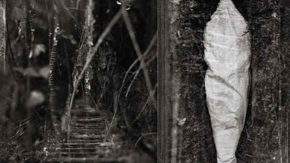 WOLVES IN THE THRONE ROOM présente son nouvel album avec un premier titre