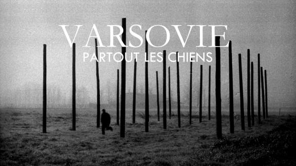 VARSOVIE partage Partout les Chiens